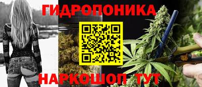 тгк Иваново
