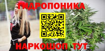скорость Ижевск