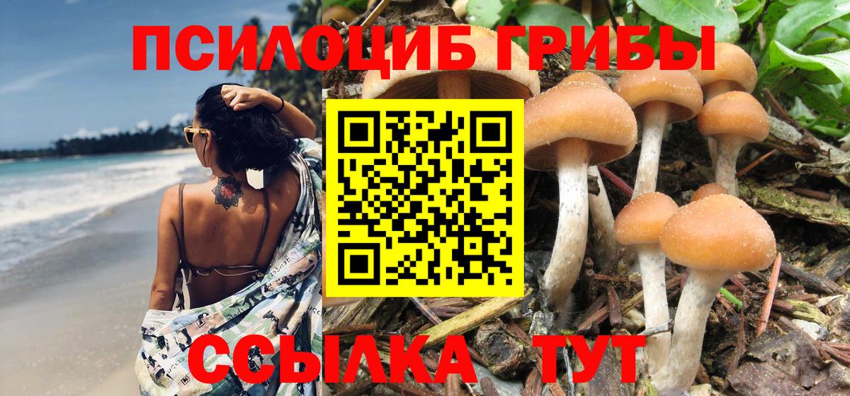Псилоцибиновые грибы ЛСД Можайск